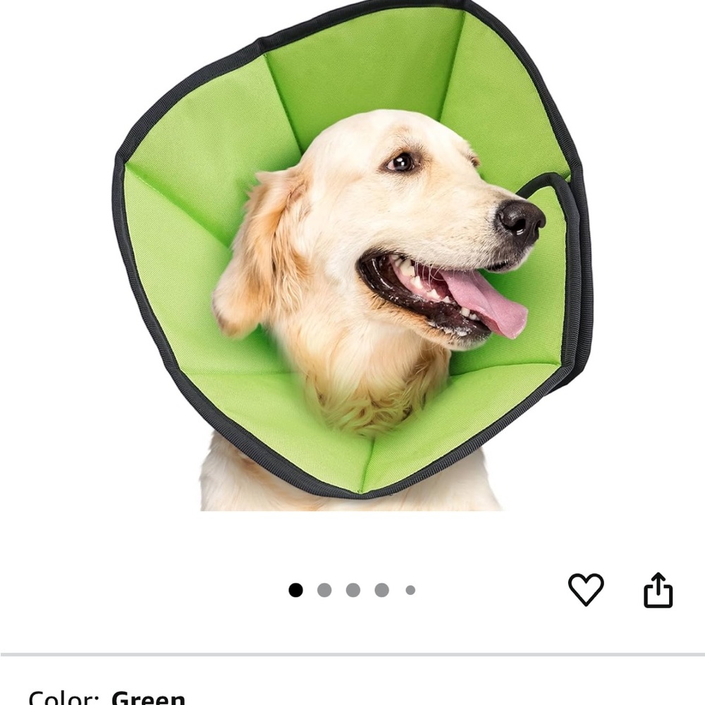 Comfortable Green Dog Recovery Collar